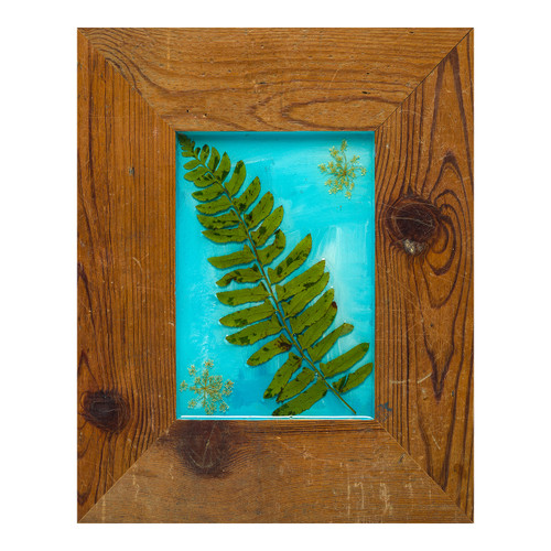 Fern Summer