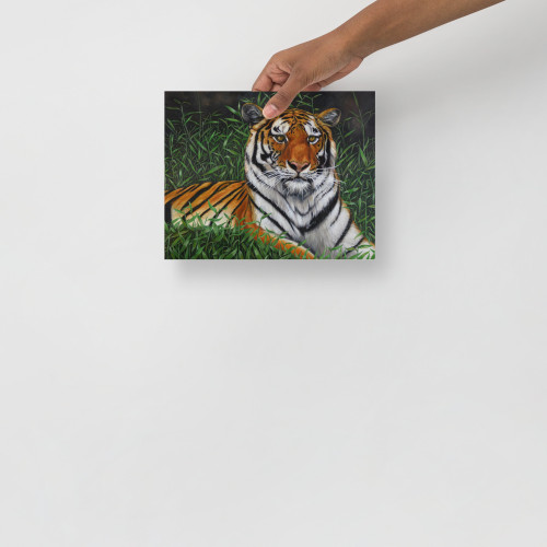 Tiger Poster