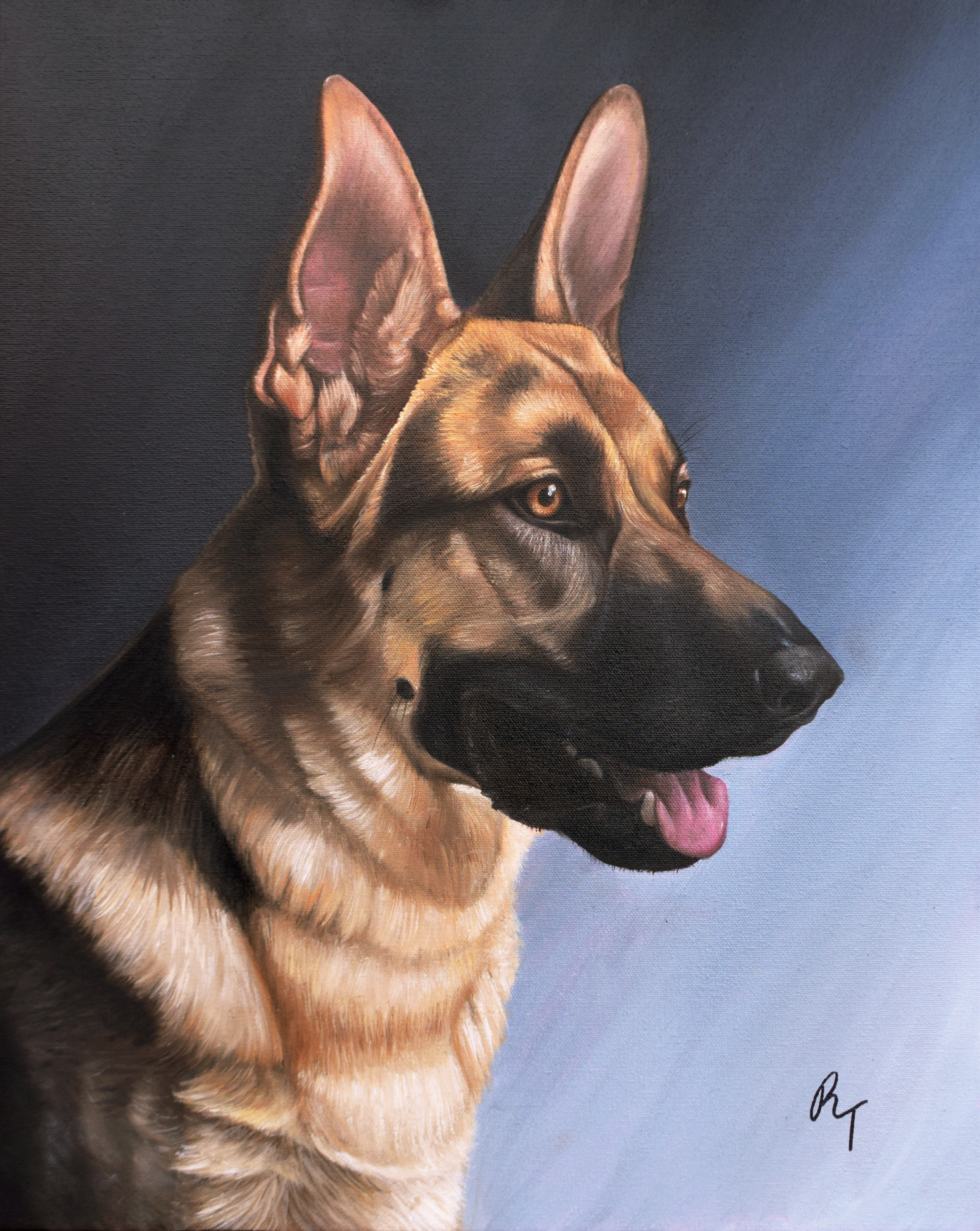 tiano-shepherd.jpg