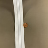 #5 Coil Zipper White Light / Med. Duty Sold By The Yard