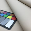 Parchment Beige Marine Vinyl Fabric | ZAN-3108 | Spradling Softside ZANDER | Upholstery Vinyl for Boats / Automotive / Commercial Seating | 54"W | BTY