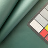 Forest Green Marine Vinyl Fabric | ZAN-3125 | Spradling Softside ZANDER | Upholstery Vinyl for Boats / Automotive / Commercial Seating | 54"W | BTY