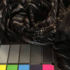 Black and White Squiggle Print Poly Sheer Fashion Fabric / Clothing and Apparel / 45 inch wide/ Sold by the Yard