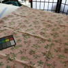 Sweet Sentiments by Waverly | Pink / Green Floral Home Decor Fabric | 56 W | BTY