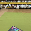 Grass Green Drapery / Upholstery Fabric | 59 W | By the Yard | Stain Resistant