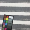 Deckled Edge Stripes Gray / White Canvas | Home Decor Fabric | Premier Prints | 54 Wide | By the Yard