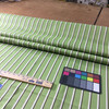 3.8 Yard Piece of Indoor / Outdoor Fabric | Vintage Stripes Green / Brown | 54 Wide | Upholstery