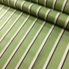 3.8 Yard Piece of Indoor / Outdoor Fabric | Vintage Stripes Green / Brown | 54 Wide | Upholstery