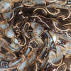 Tan on Brown Mesh Sequined Lace Overlay Fabric | Geometric Motif | Special occasion | Clothing and Apparel | 45 inch Wide | Sold By the Yard