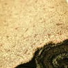 2 Yard Piece of Brown / Tan Floral Upholstery Drapery Fabric By The Yard 54" Heavy Double Sided