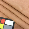 panama in pumpkin