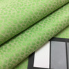 Parrot Green  60 Inch Furniture Weight Indoor / Outdoor Acrylic Canvas Upholstery Fabric