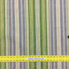 11 Yard Piece of Vera Cruz By Tommy Bahama Green Stripe Printed Drapery And Upholstery Fabric