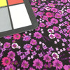 100% Cotton Quilting Fabric | Black Purple Pink Micro Floral | 44" Wide | By The Yard
