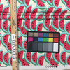 Watermelon in Fuchsia | Pink / Green / White | Home Decor Fabric | PKL Studio | 54" Wide | By the Yard