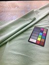 Pistachio Green Cotton Canvas |  10 oz. Canvas / Cotton Duck Fabric | Bedding / Slipcovers / Bags | 62" Wide | By the Yard