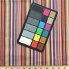 "Neopolitan" Premier Prints | Colorful Stripes | Home Decor / Drapery Fabric | 54" Wide | By the Yard