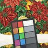 Red Poinsettia Floral Christmas Stocking Panel | Cranston Village | 36x44 Inch | 100 % Cotton  | Quilting Panel