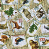 Fall Retreat | Postcards | Maine Wildlife | Quilting Fabric | 100% Cotton | 44 wide | By the Yard 5282 2