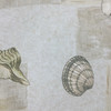Sea Shells in Grey / Beige / White | Home Decor Fabric | Cotton | 72 Wide | By the Yard