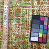 Variegated Orange, Green, and Off-White | Heavyweight Fabric | Upholstery | Eco Friendly Recycled Natural Fibers | 54" Wide | By the Yard