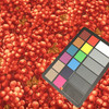 Red Grapes | Quilting Fabric | 44" Wide | 100% Cotton | By The Yard | Avlyn "A Very Good Year"