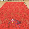 Cherry Red Corded Lace Fabric | Scalloped Edge | 100 % Polyester | 45 inch Wide | Clothing and Apparel | Sold By the Yard