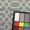 Lattice Fabric in Blue and Pale Green | Home Decor / Upholstery | 100% Polyester | 54" W | By the Yard | Regal Fabrics "Civic in Rain"