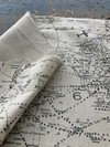 Premier Prints Air Traffic Felix/Natural | Medium Weight Duck Fabric | Home Decor Fabric | 54" Wide