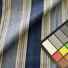 Waverly Spotswood Stripe Porcelain | Medium Weight Duck Fabric | Home Decor Fabric | 54" Wide