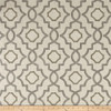 Magnolia Home Fashions Talbot Metal | Medium Weight Duck Fabric | Home Decor Fabric | 54" Wide