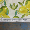 Art Gallery Sage Canvas Yuma Lemons Mist | Medium/Heavyweight Canvas Fabric | Home Decor Fabric | 58" Wide