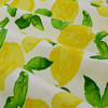 PKL Studio Citrus Squeeze Outdoor Yellow | Medium Weight Outdoor Fabric | Home Decor Fabric | 54" Wide