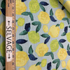 PKL Studio Citrus Squeeze Outdoor Turquoise | Medium Weight Outdoor Fabric | Home Decor Fabric | 54" Wide