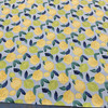 PKL Studio Citrus Squeeze Outdoor Turquoise | Medium Weight Outdoor Fabric | Home Decor Fabric | 54" Wide