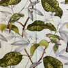 Hilary Farr Hello Polly Cotton Twill Greenery | Medium Weight Twill Fabric | Home Decor Fabric | 60" Wide