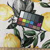 Digital Pucker Lemon Print Basketweave Vanilla | Medium Weight Basketweave Fabric | Home Decor Fabric | 56" Wide