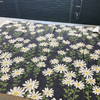 Novogratz Endless Daisies Midsummer Night | Medium Weight Duck Fabric | Home Decor Fabric | 54" Wide