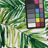 Bryant Indoor/Outdoor Coastal Palm Green Leaf | Lightweight Outdoor Fabric | Home Decor Fabric | 54" Wide