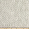 Bella Dura Home Performance Birk Woven Jacquard Birch | Medium/Heavyweight Outdoor, Jacquard, Woven Fabric | Home Decor Fabric | 56" Wide