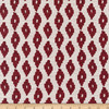 InsideOut Indoor/Outdoor Performance Coastal Lattimore Woven Rust | Very Heavyweight Outdoor, Woven Fabric | Home Decor Fabric | 56" Wide