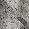 P/K Lifestyles Juneau Faur Fur Shadow | Medium/Heavyweight Faux Fur Fabric | Home Decor Fabric | 59" Wide