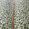 PKL Studio Reef Point Outdoor Grass | Medium Weight Outdoor Fabric | Home Decor Fabric | 54" Wide