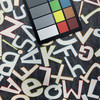 Alphabets in Noir | Home Decor Fabric | Charcoal Multi Script | Medium Weight | Waverly | 54" Wide | By The Yard