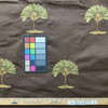 Palm Tree in Green  / Brown | Upholstery Fabric | Embroidered | Medium Weight | 54" Wide | By the Yard