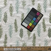 Woodlands in Sage | Embroidered Drapery Fabric | Foliage in Green | Medium Weight | 54" Wide | By The Yard
