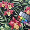 Turcotte in Onyx | OUTDOOR Home Decor Fabric | Tropical Floral in Red / Green / Black |  Berkshire Home | Medium Weight | 54" Wide | By the Yard (Also Sku PHX0224-1072)