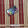 Capulet Stripe in Pompeii | OUTDOOR Home Decor Fabric | Stripes in Red / Brown / Green |  Richloom | Medium Weight | 54" Wide | By the Yard