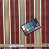 Capulet Stripe in Pompeii | OUTDOOR Home Decor Fabric | Stripes in Red / Brown / Green |  Richloom | Medium Weight | 54" Wide | By the Yard
