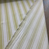 Herringbone Stripes in Light Green and White | Drapery Fabric | Medium Weight | 54" Wide | By the Yard